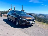 Gebraucht Skoda Octavia Style 150 PS (110 kW) 2024 Braun Limousine