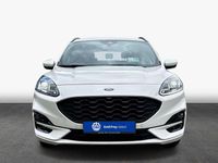 Gebraucht Ford Kuga ST-Line 150 PS (110 kW) 2023 White platinum metallic SUV