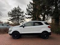 Gebraucht Ford Ecosport 125 PS (91 kW) 2019 Weiß SUV