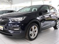 Gebraucht Opel Grandland X 131 PS (96 kW) 2019 Blau SUV