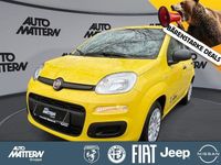 Neu Fiat Panda Icon 69 PS (50 kW) 2026 Gelb Kleinwagen