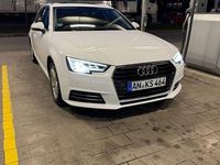 Gebraucht Audi A4 Design 150 PS (110 kW) 2019 Weiß Kombi