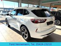 Neu Ford Kuga ST-Line 186 PS (136 kW) 2025 Weiß SUV