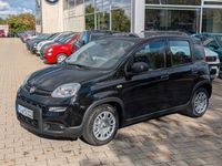 Gebraucht Fiat Panda 69 PS (50 kW) 2024 Schwarz Kleinwagen