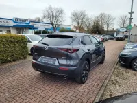 Gebraucht Mazda CX-30 Homura-Line 140 PS (102 kW) 2026 Grau SUV