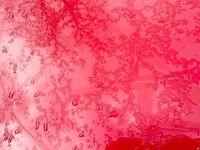 Gebraucht Renault Clio II 2009 Andere farben Kleinwagen