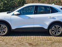 Gebraucht Ford Kuga Titanium 224 PS (164 kW) 2020 Weiß SUV