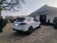 Gebraucht Porsche Cayenne Platinum Edition 262 PS (192 kW) 2016 Weiß SUV