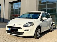 Gebraucht Fiat Punto 69 PS (50 kW) 2012 Weiß Kleinwagen