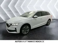 Neu Skoda Octavia Lounge 150 PS (110 kW) 2025 Weiß Kombi