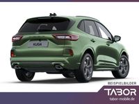 Neu Ford Kuga ST-Line 180 PS (132 kW) 2025 Andere farbe SUV