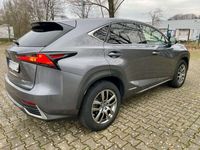 gebraucht Lexus NX300h NX Executive Line 4WD (197 PS System)