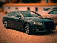 Gebraucht Audi A5 Sportback S-Line 170 PS (125 kW) 2011 Grau Kleinwagen