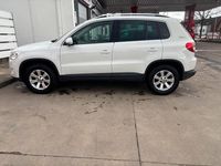 Gebraucht VW Tiguan 150 PS (110 kW) 2010 Weiß SUV