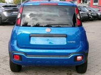 gebraucht Fiat Panda Cross 1.0 Mild Hybrid EU6d Apple CarPlay Android Auto Klimaautom DAB Regensensor