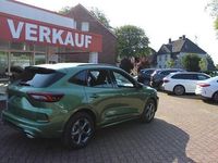 Neu Ford Kuga ST-Line 186 PS (136 kW) 2026 Grün SUV