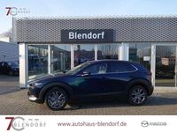 Gebraucht Mazda CX-30 Active 150 PS (110 kW) 2023 Deep crystal blue SUV