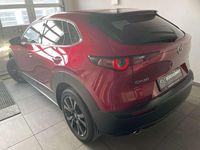 Neu Mazda CX-30 Homura-Line 140 PS (102 kW) 2025 Rot SUV