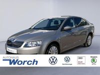Gebraucht Skoda Octavia Ambition 110 PS (80 kW) 2015 Cappuccinobeige metallic Kombi