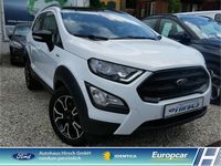 Gebraucht Ford Ecosport Active 140 PS (102 kW) 2022 Weiß SUV