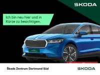 Gebraucht Skoda Kamiq Selection 150 PS (110 kW) 2025 Grau SUV