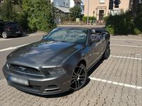 Gebraucht Ford Mustang 310 PS (228 kW) 2013 Grau Cabrio