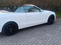 Gebraucht Audi A5 Cabriolet 224 PS (164 kW) 2014 Weiß Cabrio