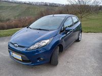 Gebraucht Ford Fiesta Trend 82 PS (60 kW) 2009 Blau Kleinwagen