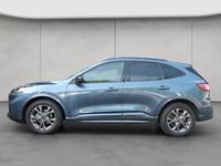 Gebraucht Ford Kuga ST-Line X 150 PS (110 kW) 2023 Blau SUV