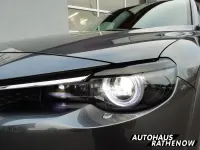 Gebraucht Mazda MX30 Edition 106 kW (145 PS) 2020 Grau SUV