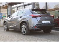 gebraucht Lexus UX UX