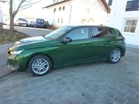 Gebraucht Peugeot 308 Allure 131 PS (96 kW) 2022 Lackierung olivgrÜn Limousine