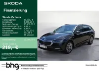 Gebraucht Skoda Octavia Ambition 150 PS (110 kW) 2023 Schwarz Kombi