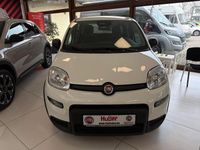 Gebraucht Fiat Panda 69 PS (50 kW) 2024 Weiß Limousine