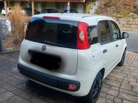 Gebraucht Fiat Panda Young 69 PS (50 kW) 2014 Weiß Kleinwagen