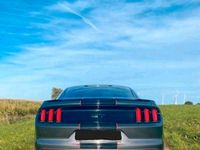 gebraucht Ford Mustang GT 5.0 V8 mit Shelby Optik! Benzin/LPG