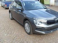 Neu Skoda Kamiq Selection 150 PS (110 kW) 2026 Grau SUV