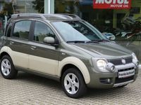 Gebraucht Fiat Panda 4x4 Cross 75 PS (55 kW) 2011 Grün metallic Kleinwagen