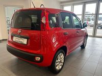 Gebraucht Fiat Panda More 69 PS (50 kW) 2017 Rot Kleinwagen