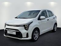 Neu Kia Picanto Edition 7 63 PS (46 kW) 2025 Clear white Kleinwagen