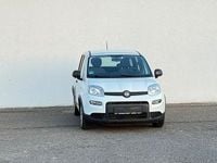 Gebraucht Fiat Panda 69 PS (50 kW) 2023 Weiß Kleinwagen