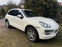 Gebraucht Porsche Cayenne 245 PS (180 kW) 2011 Weiß SUV