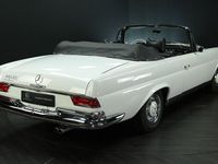 Gebraucht Mercedes 250 SE 150 PS (110 kW) 1966 Papyrus weiß 717 Cabrio