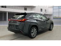 Gebraucht Lexus UX 300e Luxury Line 150 kW (204 PS) 2022 Grau SUV