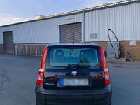 Gebraucht Fiat Panda 54 PS (39 kW) 2010 Beige Kleinwagen