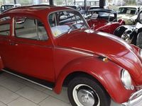 gebraucht VW Käfer - (Adoptivfamilie dringend gesucht)