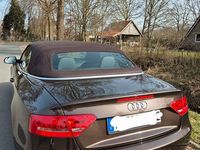 Gebraucht Audi A5 Cabriolet 211 PS (155 kW) 2010 Braun Cabrio