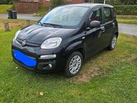 Gebraucht Fiat Panda 70 PS (51 kW) 2016 Schwarz Kleinwagen