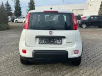 Gebraucht Fiat Panda 70 PS (51 kW) 2024 Weiß Kleinwagen