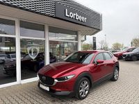 Gebraucht Mazda CX-30 Selection 116 PS (85 kW) 2020 Rot SUV